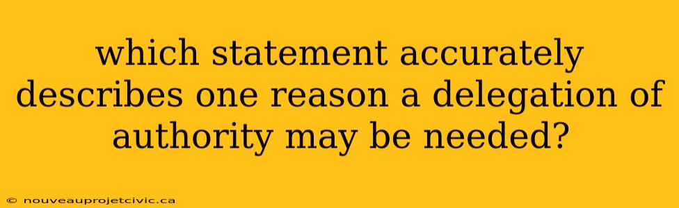 which statement accurately describes one reason a delegation of authority may be needed?