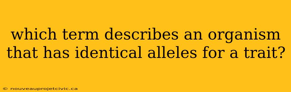 which term describes an organism that has identical alleles for a trait?