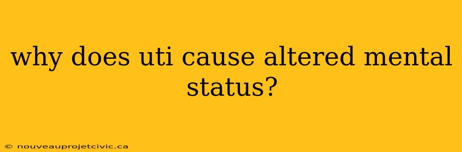 why does uti cause altered mental status?