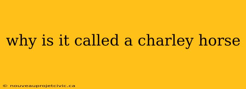 why is it called a charley horse