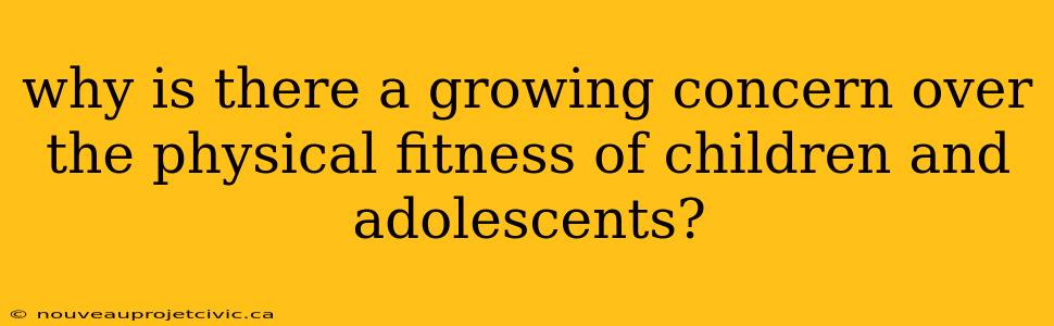 why is there a growing concern over the physical fitness of children and adolescents?