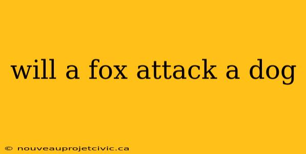 will a fox attack a dog