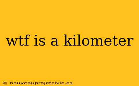 wtf is a kilometer