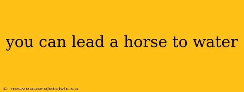 you can lead a horse to water